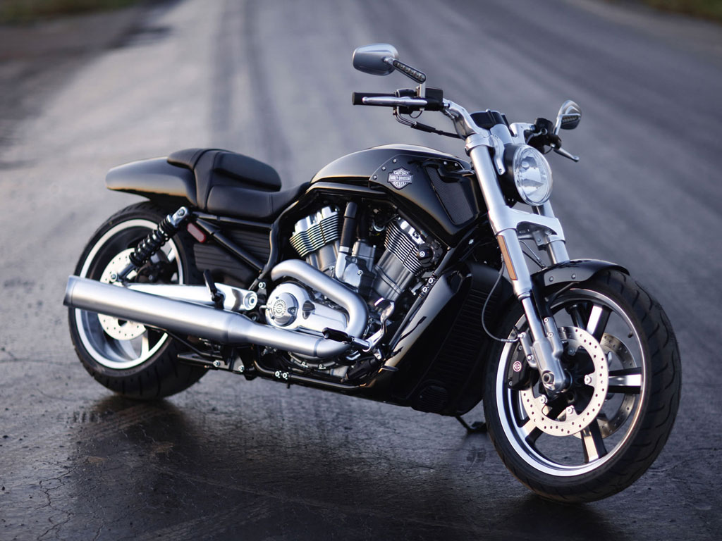 Harley-Davidson V-Rod Muscle Standard ฮาร์ลีย์-เดวิดสัน วี-รอดมัสคอล ปี 2014 : ภาพที่ 3