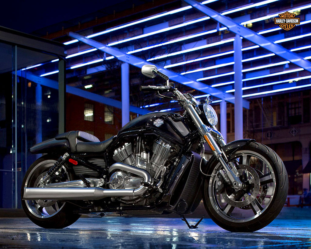 Harley-Davidson V-Rod Muscle Standard ฮาร์ลีย์-เดวิดสัน วี-รอดมัสคอล ปี 2014 : ภาพที่ 8
