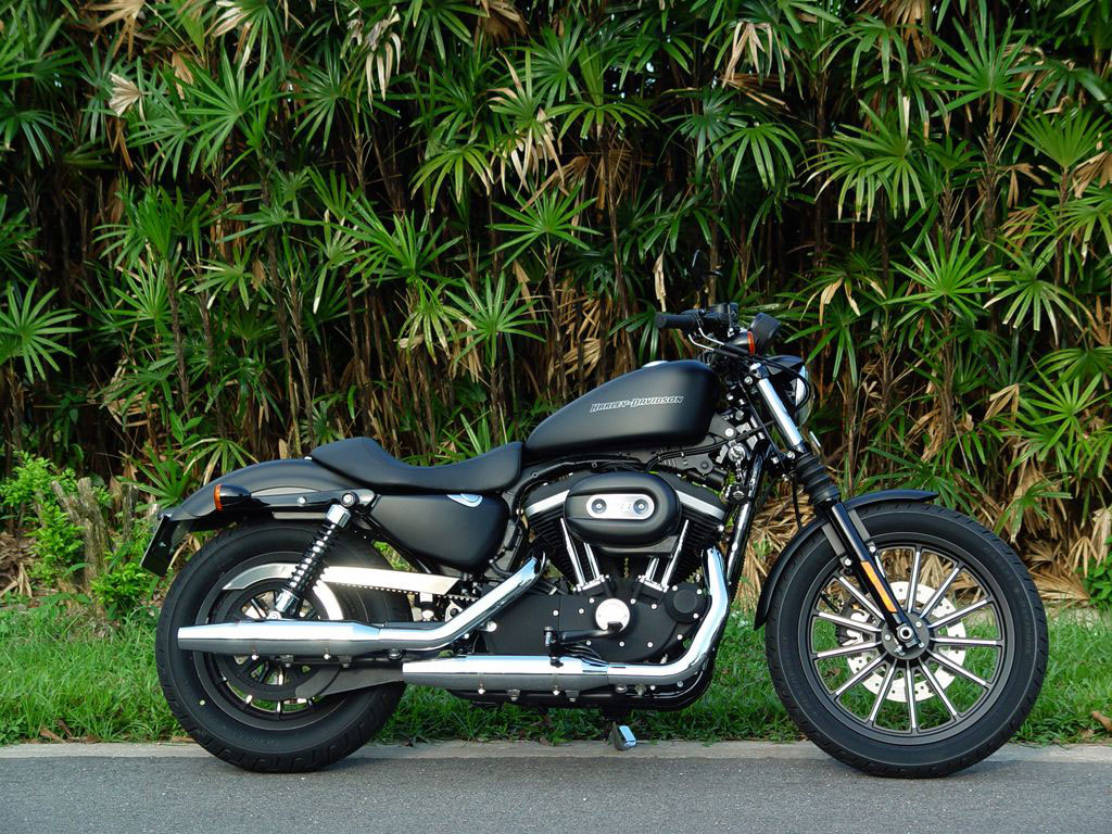 Harley-Davidson Cruiser Iron 883 MY20 ฮาร์ลีย์-เดวิดสัน สปอร์ตสเตอร์ ปี 2016 : ภาพที่ 8
