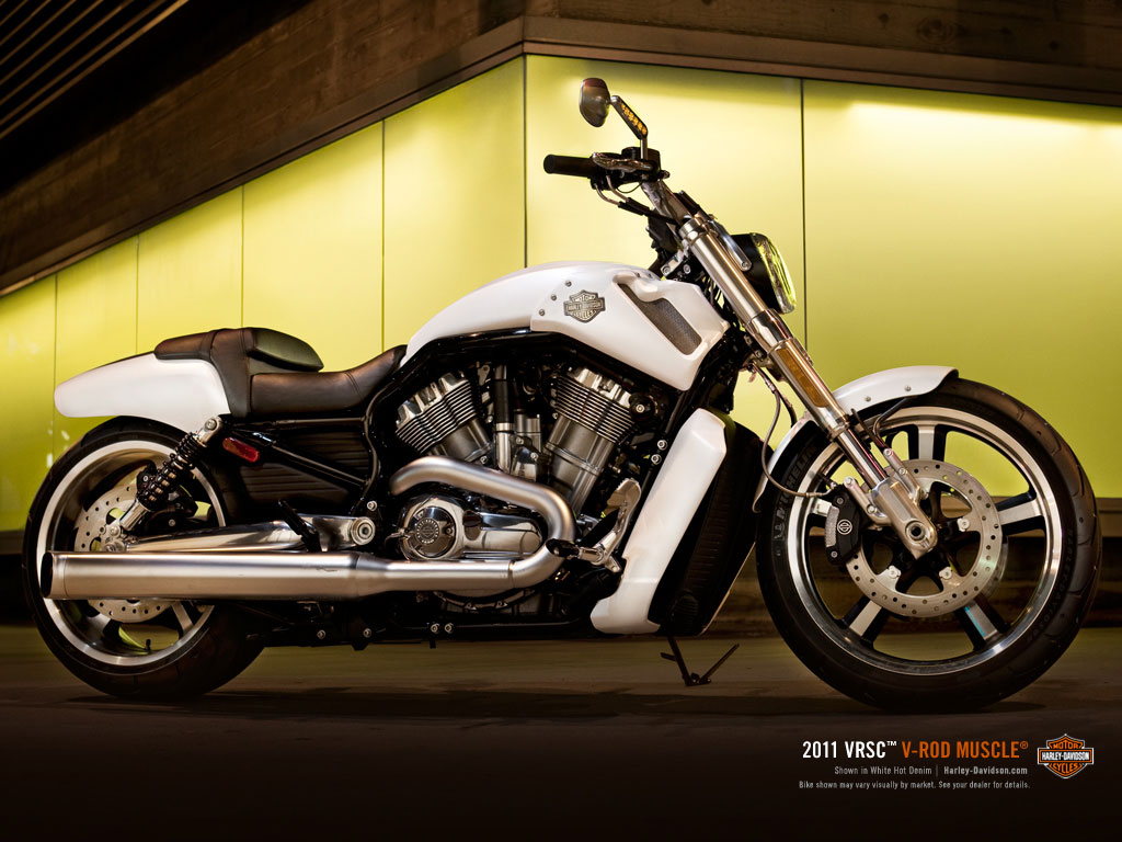Harley-Davidson V-Rod Muscle Standard ฮาร์ลีย์-เดวิดสัน วี-รอดมัสคอล ปี 2014 : ภาพที่ 4