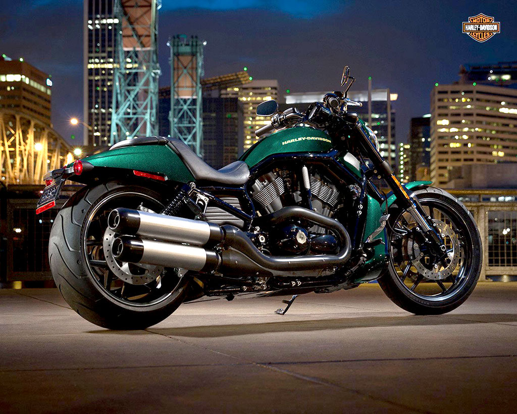 Harley-Davidson Night Rod Special Standard ฮาร์ลีย์-เดวิดสัน ไนต์รอดสเปเชี่ยน ปี 2015 : ภาพที่ 8