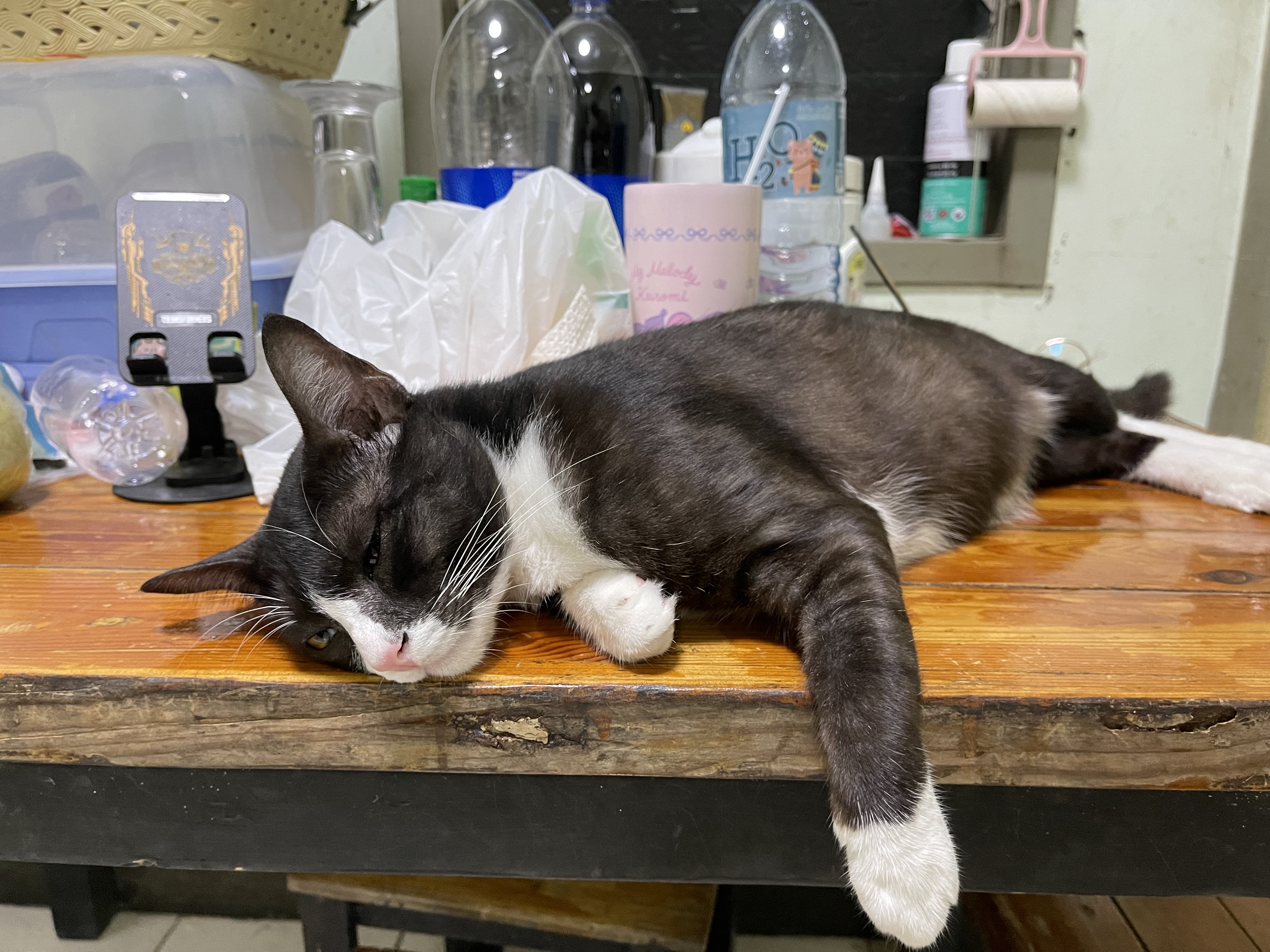 ไม่ได้ขายรถยนต์แล้วค่ะ