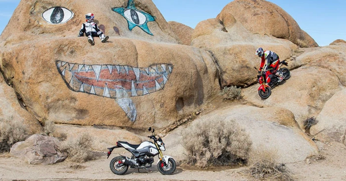 มินิไบค์ "Honda MSX125" (GROM) แอดเวนเจอร์แบบนี้ก็ได้เหรอ