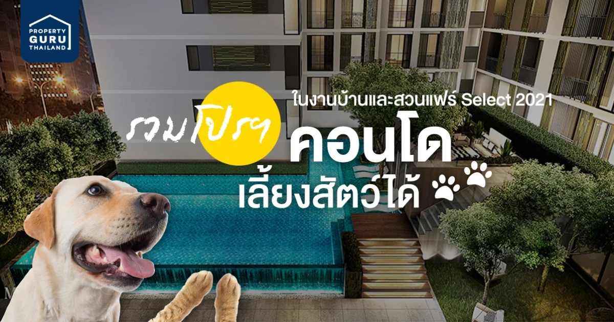 รวมโปรโมชัน "คอนโดเลี้ยงสัตว์ได้" ในงานบ้านและสวนแฟร์ Select 2021 รวมโปรโมชัน "คอนโดเลี้ยงสัตว์ได้" ในงานบ้านและสวนแฟร์ Select 2021
