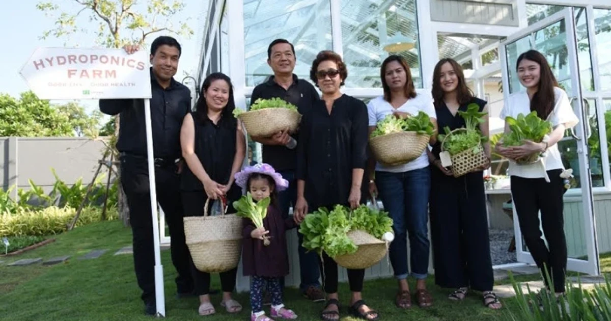 "ควอลิตี้เฮ้าส์" ใส่ใจคุณภาพชีวิต เปิดตัว Q House Hydroponics Farm ฟาร์มผักปลอดสารพิษ ภายใต้แนวคิด "Good Health Good Life"