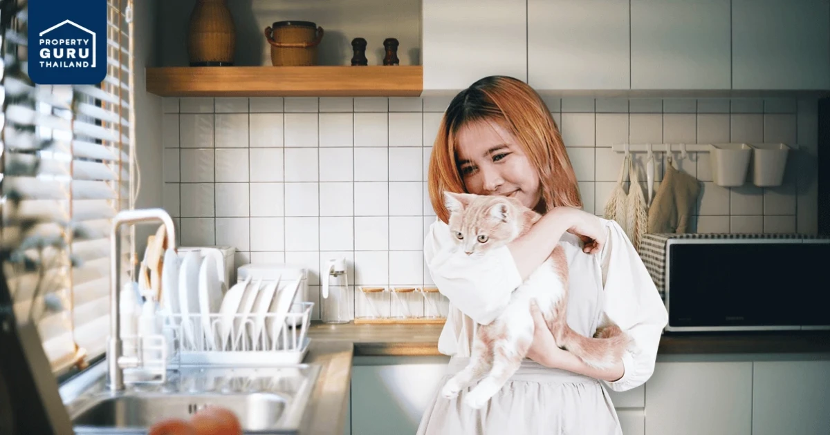 ถาม-ตอบ เรื่องบิวท์ครัวสไตล์เกาหลี ทำไมคิวท์แบบนี้ สรุปแล้วแค่ 40,000 จริงไหม? ถาม-ตอบ เรื่องบิวท์ครัวสไตล์เกาหลี ทำไมคิวท์แบบนี้ สรุปแล้วแค่ 40,000 จริงไหม?