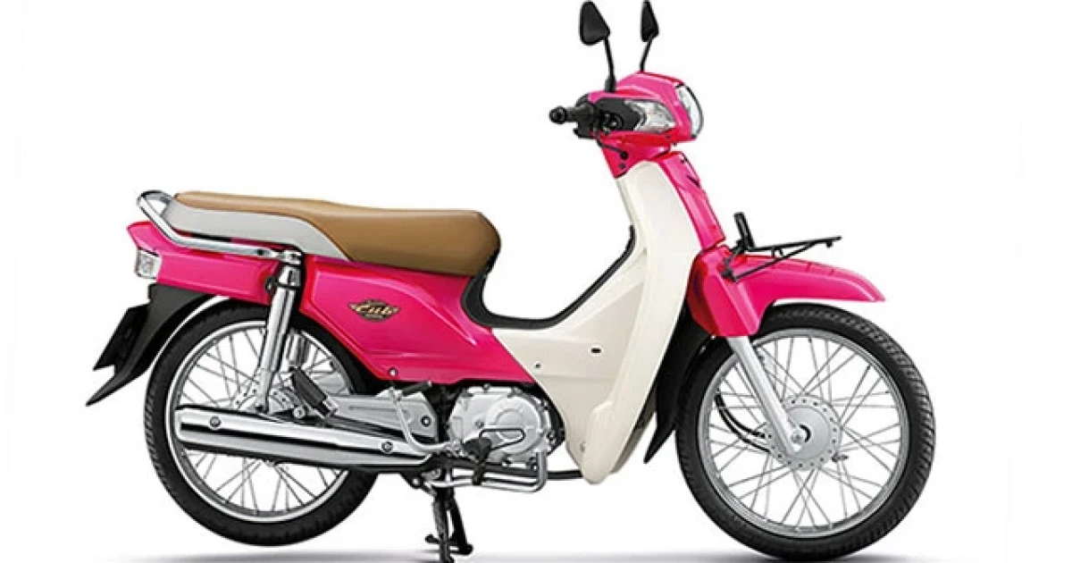 ใหม่สุดฮิต เจแปนนิสสุดเก๋า