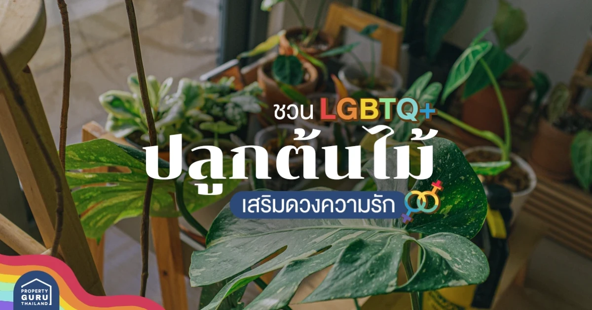 ชวน LGBTQ+ ปลูกต้นไม้เสริมดวงความรัก ใครมีแล้วก็ให้ปัง ส่วนใครยังปลูกแล้วมาแน่! ชวน LGBTQ+ ปลูกต้นไม้เสริมดวงความรัก ใครมีแล้วก็ให้ปัง ส่วนใครยังปลูกแล้วมาแน่!
