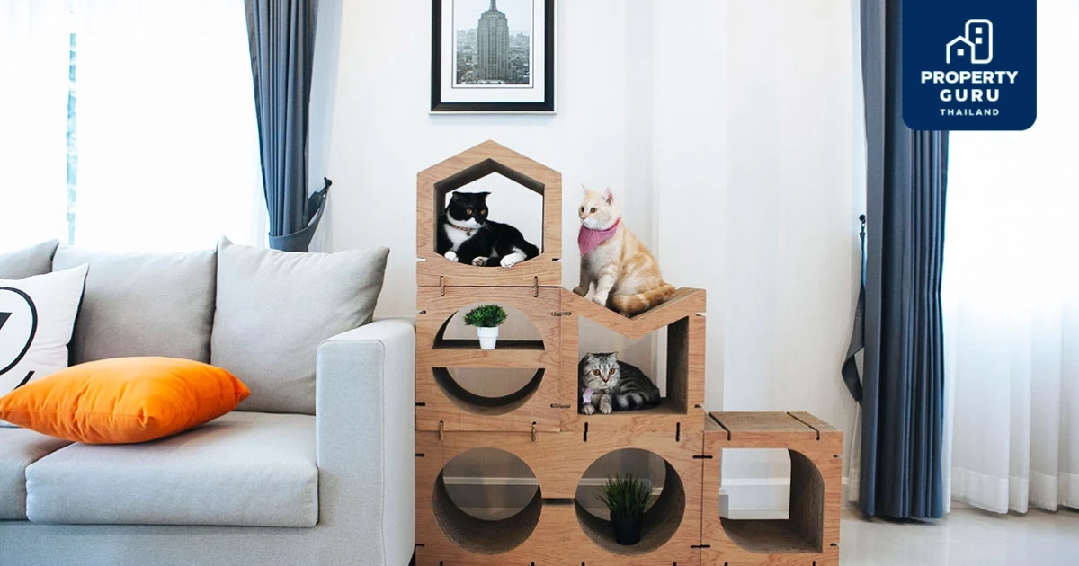 "เมเจอร์ ดีเวลลอปเม้นท์" คัด 5 ไอเท็มสุดคิวท์ เอาใจคนเลี้ยงสัตว์ในคอนโดให้เลือกช้อปอย่างจุใจ