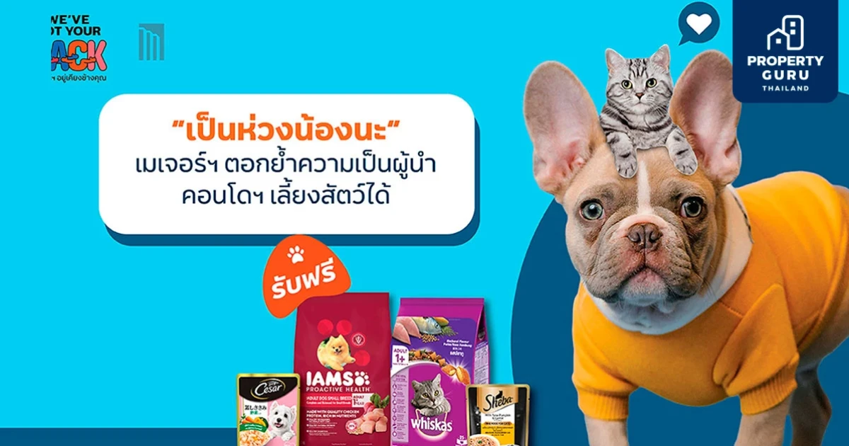 เมเจอร์ฯ ตอกย้ำผู้นำคอนโดเลี้ยงสัตว์ได้ ผ่านแคมเปญ "เป็นห่วงน้องนะ"
