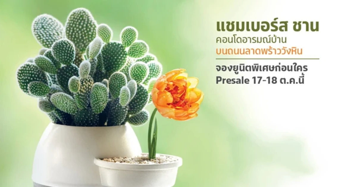 Presale "แชมเบอร์ส ชาน" คอนโดอารมณ์บ้าน บนถนนลาดพร้าววังหิน วันที่ 17-18 ต.ค. นี้