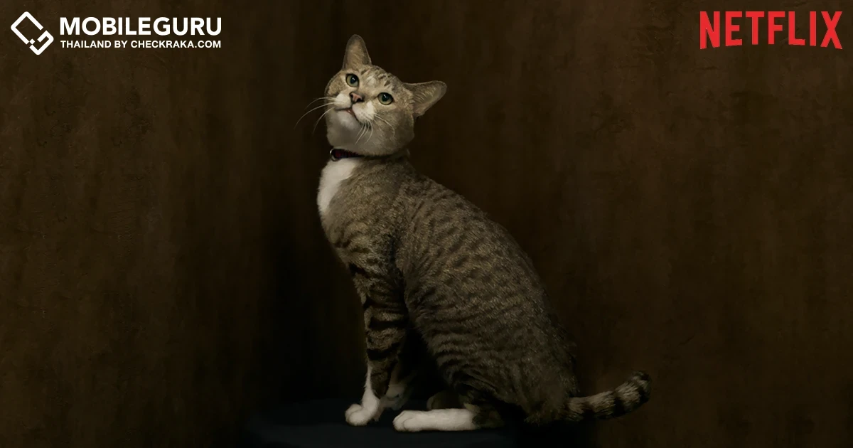 Netflix เปิด 5 ตัวละคร “The Whole Truth ปริศนารูหลอน” เตรียมพาผู้ชมไขปมระทึกขวัญดราม่า ตั้งแต่ต้นจนจบ!