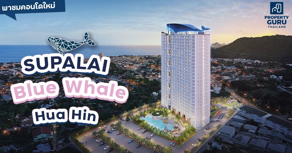 พาชมคอนโดใหม่ "ศุภาลัย บลูเวล หัวหิน" คอนโดวิวทะเลใจกลางหัวหิน สัมผัส Panoramic View ทุกยูนิต แต่งครบเริ่ม 1.69 ล้านบาท พาชมคอนโดใหม่ "ศุภาลัย บลูเวล หัวหิน" คอนโดวิวทะเลใจกลางหัวหิน สัมผัส Panoramic View ทุกยูนิต แต่งครบเริ่ม 1.69 ล้านบาท