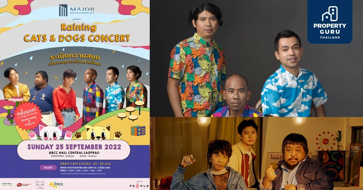 เมเจอร์ ดีเวลลอปเม้นท์ จัดคอนเสิร์ต “RAINING CATS & DOGS” 25 ก.ย.นี้ พร้อมมอบสิทธิ์พิเศษสำหรับลูกบ้านคนรักแมว-หมา ร่วมสนุกไปกับ POLYCAT และ MODERNDOG