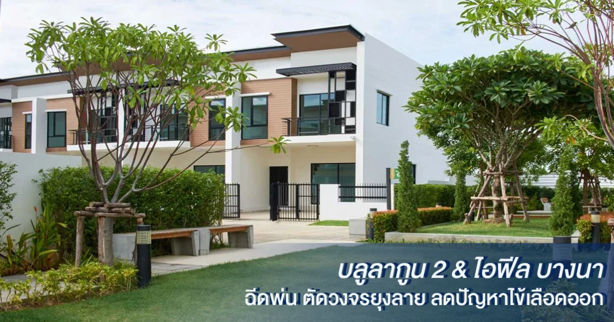 บลูลากูน 2 - ไอฟีล บางนา ห่วงใยสุขภาพลูกบ้าน ฉีดพ่น ตัดวงจรยุงลาย ลดปัญหาไข้เลือดออก