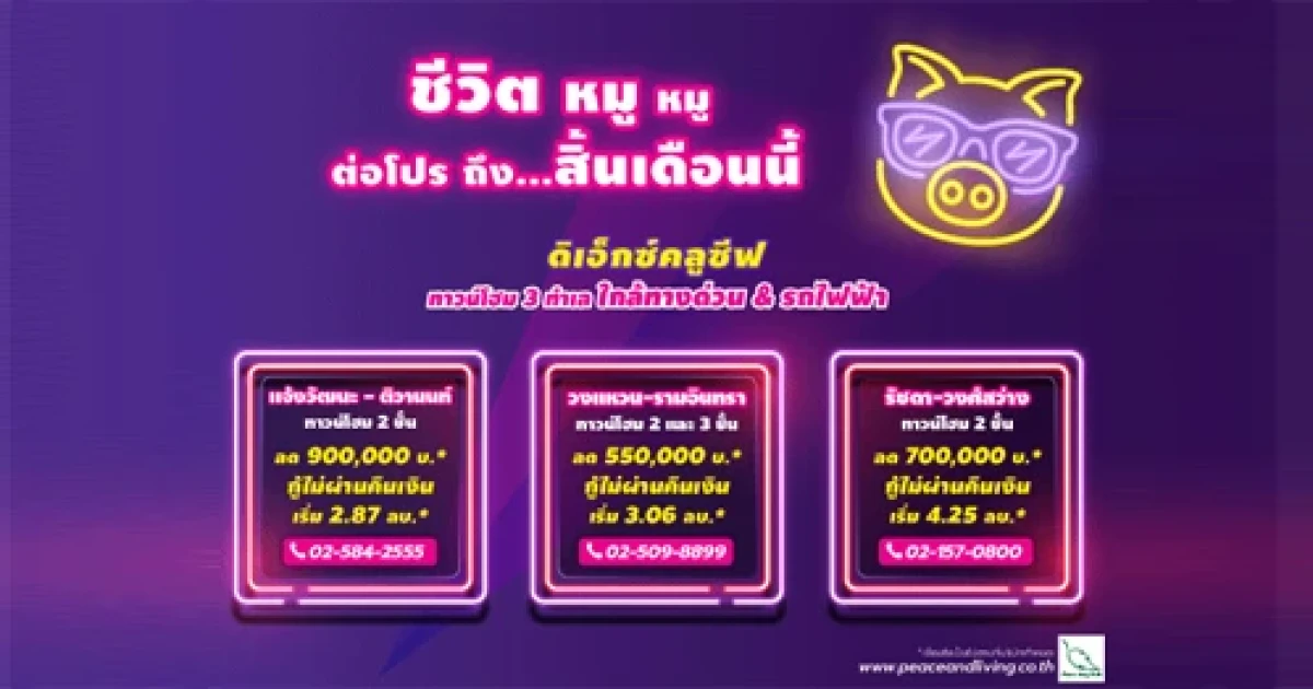 โปรโมชั่นต้อนรับปีหมูกับชีวิตหมูๆ ถึงสิ้นเดือนเท่านั้น! "ดิ เอ็กซ์คลูซีฟ" ทาวน์โฮมบนทำเลศักยภาพ 3 โครงการ
