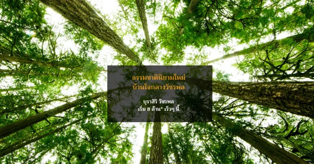 แสนสิริ เตรียมเปิดตัว "บุราสิริ วัชรพล" บ้านใจกลางวัชรพล เริ่ม 8 ล้าน* เร็ว ๆ นี้