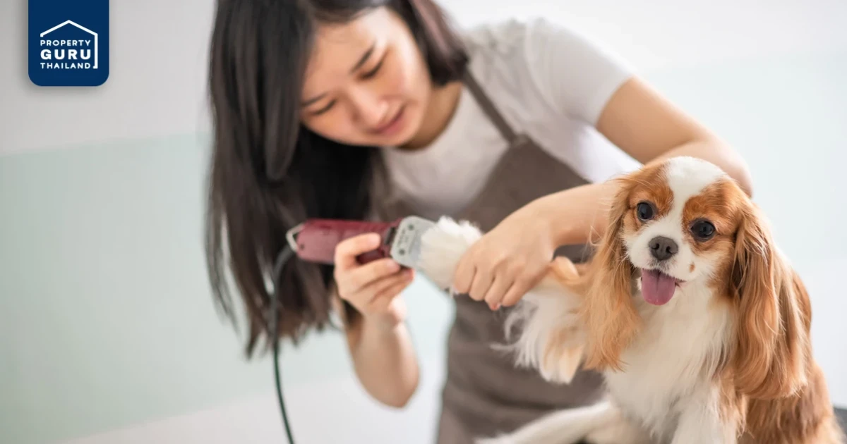 เมเจอร์ ดีเวลลอปเม้นท์ ผู้นำคอนโดเลี้ยงสัตว์ได้ แนะนำเคล็ดลับการดูแลสัตว์เลี้ยงแสนรักในคอนโดช่วงหน้าร้อน
