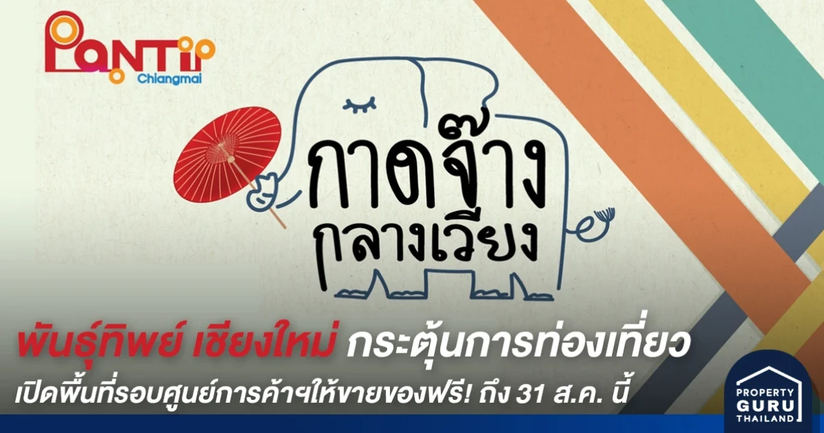 พันธุ์ทิพย์ เชียงใหม่ กระตุ้นการท่องเที่ยวหลังปลดล็อก เปิดพื้นที่รอบศูนย์การค้าฯ ให้ขายของฟรี! ถึง 31 ส.ค. นี้