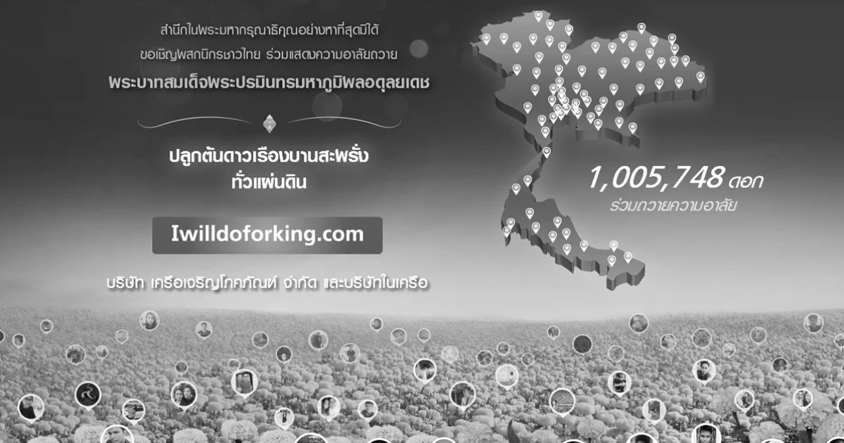 เครือเจริญโภคภัณฑ์และทรู คอร์ปอเรชั่น ร่วมปลูกต้นดาวเรืองให้เหลืองอร่ามบานสะพรั่งทั้งแผ่นดิน