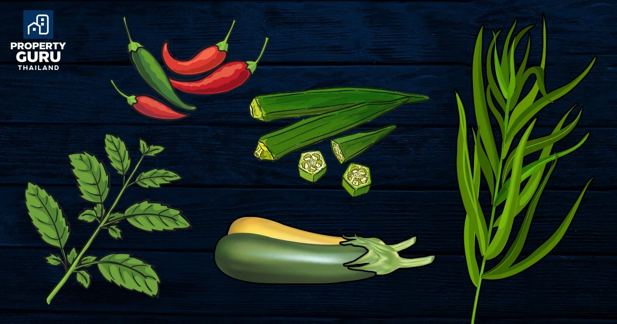 9 พืชผักสวนครัว ปลูกง่าย ทำเองได้ง่ายๆ ที่บ้าน