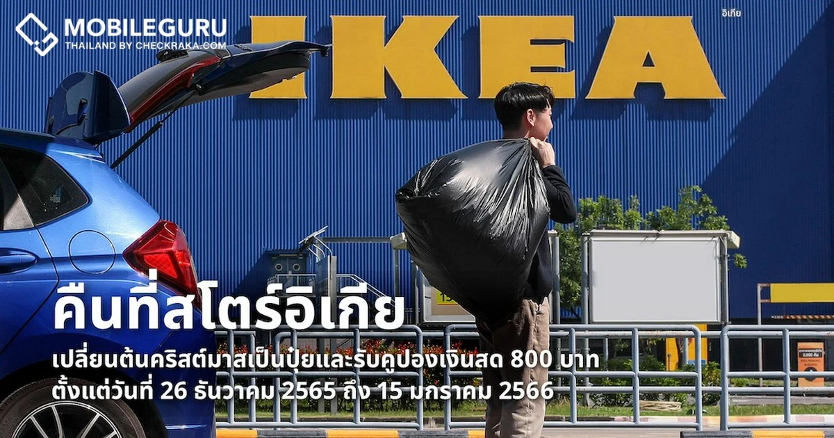 เปลี่ยนต้นสนสดจาก IKEA ให้เป็นปุ๋ย พร้อมรับคูปองเงินสดมูลค่า 800 บาท ฉลองส่งท้ายปีแบบยั่งยืน