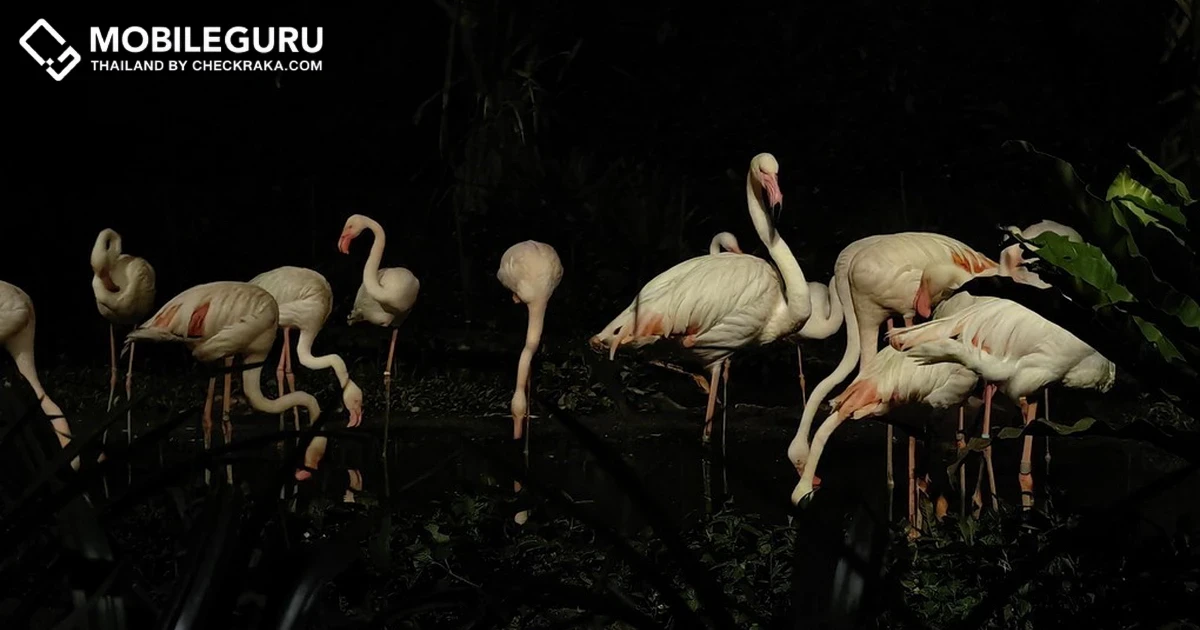 HUAWEI P60 Pro กับเทคโนโลยี Ultra Lighting Telephoto Camera สำหรับการถ่ายภาพกลางคืน เสริมสไลต์ด้วย XMAGE