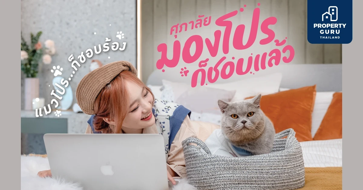 ศุภาลัยปล่อยหมัดเด็ด!! ฮุคสุดท้าย “มองโปรก็ชอบแล้ว แมวโปรก็ชอบร้อง”