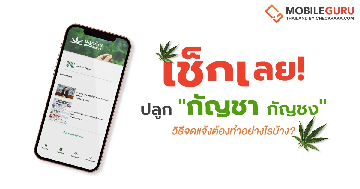 เช็กเลย! อยากปลูก กัญชา-กัญชง วิธีจดแจ้งต้องทำอย่างไรบ้าง? เช็กเลย! อยากปลูก กัญชา-กัญชง วิธีจดแจ้งต้องทำอย่างไรบ้าง?
