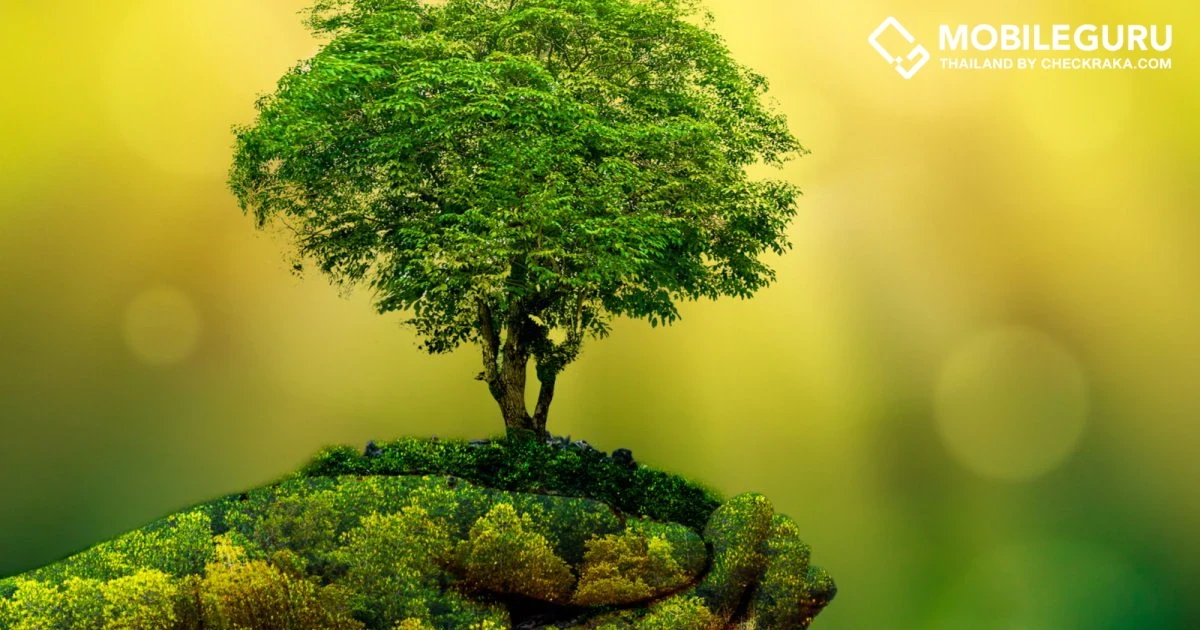 ศูนย์วิจัยเทเลนอร์ เผย 5 เทรนด์เทคโนโลยีที่จะเร่งการเปลี่ยนผ่านสู่โลกสีเขียวในปี 2565