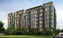 ไซมิส เทอร์ตี้ ไนน์ (Siamese Thirty Nine)