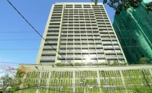 โนเบิล โซโล (Noble Solo)