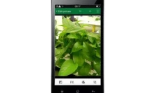 ออปโป OPPO-Joy 3