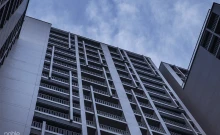 โนเบิล รีวีล (Noble Reveal)