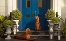 นาราสิริ บางนา กม.10 (Narasiri Bangnav KM 10)