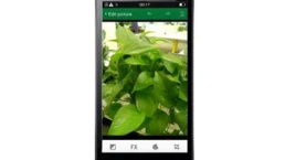 ออปโป OPPO-Joy 3 ออปโป OPPO-Joy 3