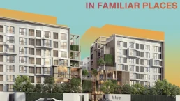 บลู พหลโยธิน 35 (Blue Phahonyothin 35) บลู พหลโยธิน 35 (Blue Phahonyothin 35)