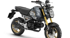Honda MSX125 ทุกรุ่นย่อย
