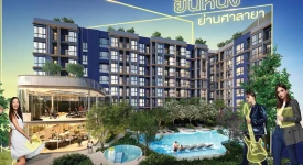 คอนโดมีนำ ดีเวลลอปเม้นท์ ทุกโครงการย่อย