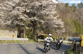 Honda รวมพลชาว CUB House เปิดประสบการณ์ที่ญี่ปุ่นใน Let’s Ride Over JAPAN 2026 พร้อมสัมผัสความงดงามของซากุระตลอดเส้นทาง