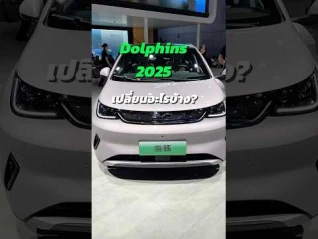 รูปภาพ Dolphins 2025 เปลี่ยนอะไรบ้าง