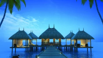 เอโทล มัลดีฟส์ ปาล์ม บางนา-วงแหวน (Atoll Maldives Palms)