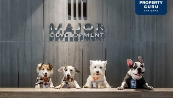 Petscape Manager เจ้าตูบ 4 ขาอัจฉริยะ ที่ช่วยเผยความลับ Pet-insights ให้ เมเจอร์ฯ นั่งแท่นเบอร์ 1 คอนโดเลี้ยงสัตว์ได้