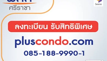 สิรีนฯ เตรียม Grand Opening "พลัส ศรีราชา" คอนโดใหม่ใจกลางศรีราชา 19 ก.ย. นี้ เริ่ม 2.3 ล้านบาท