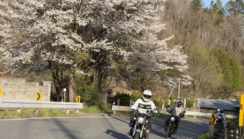 Honda รวมพลชาว CUB House เปิดประสบการณ์ที่ญี่ปุ่นใน Let’s Ride Over JAPAN 2026 พร้อมสัมผัสความงดงามของซากุระตลอดเส้นทาง