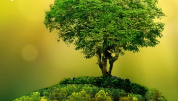 ศูนย์วิจัยเทเลนอร์ เผย 5 เทรนด์เทคโนโลยีที่จะเร่งการเปลี่ยนผ่านสู่โลกสีเขียวในปี 2565