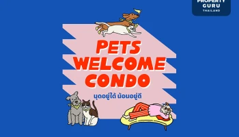 แสนสิริ เปิดตัว "PETS WELCOME CONDO" 5 โครงการใหม่ จ่อคิวเปิดตัวอีกหลายโครงการปี 67