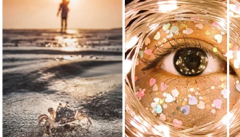 มองโลกในมุมใหม่ๆ ด้วยเลนส์มาโคร จากสมาร์ทโฟน Samsung Galaxy A51