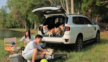 Ford ชวนผจญภัยกับสัตว์เลี้ยงแสนรักด้วย Everest Platinum เนื่องในวัน Love Your Pet Day