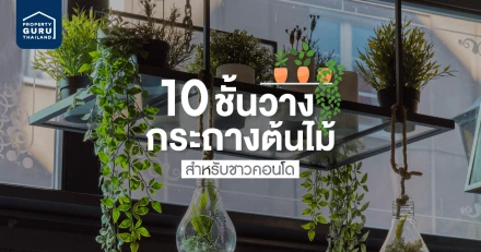 10 ชั้นวางกระถางต้นไม้ สำหรับชาวคอนโดที่มีพื้นที่จำกัด